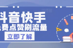 抖音快手等平台刷粉点赞刷流量