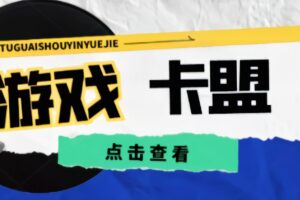 游戏卡盟等项目