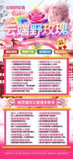 野玫瑰季卡-云端转！